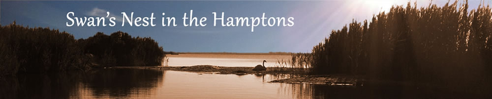 Swan's Nest - Hampton Summer Rental